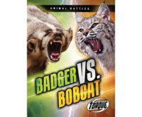 Badger_vs__Bobcat